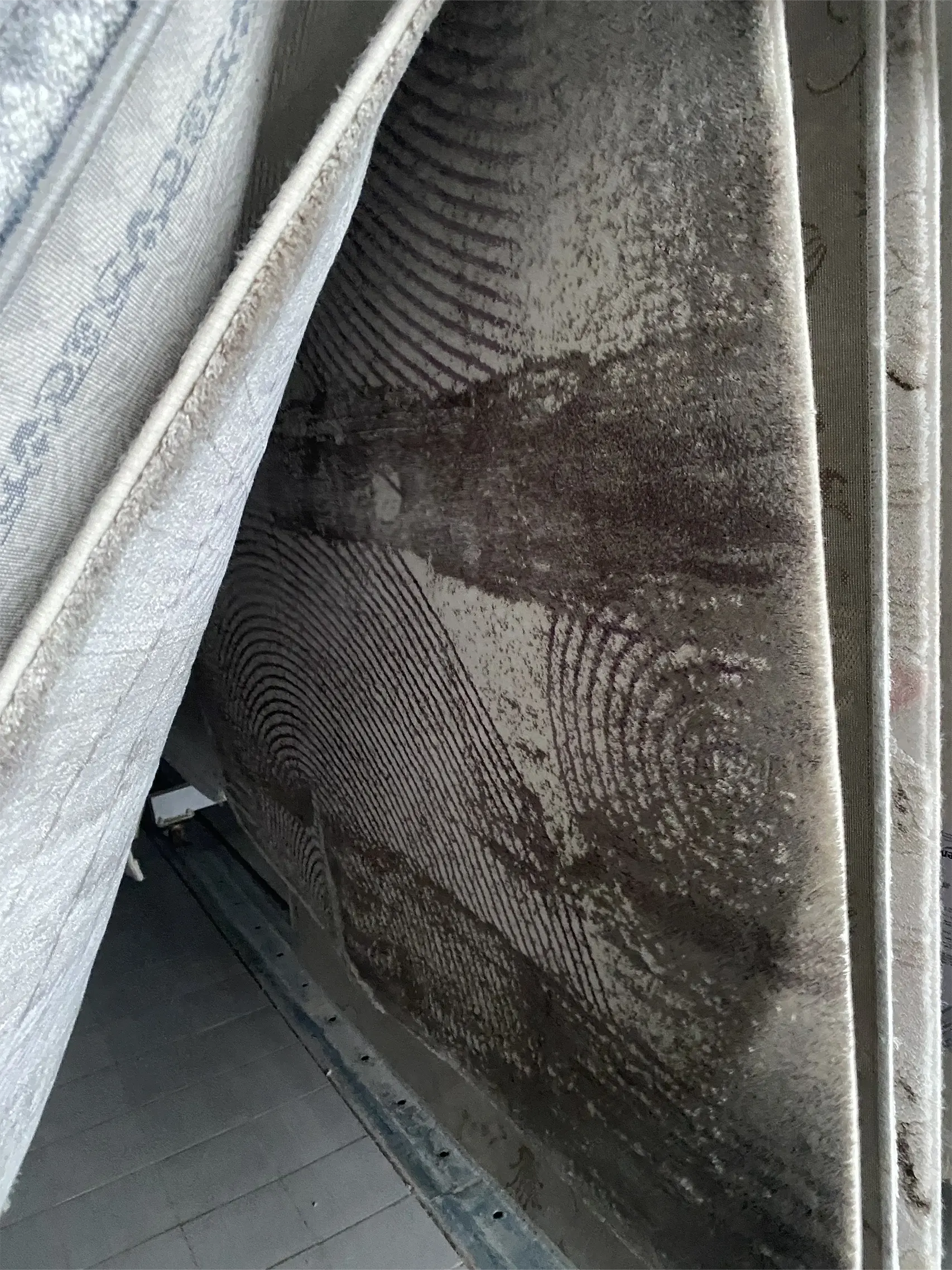 Fahrikayahan profesyonel halı temizliği